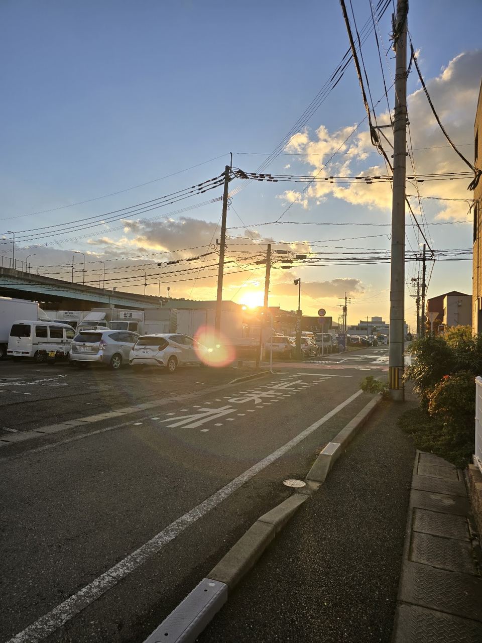 夕方の光が差す道路と駐車場